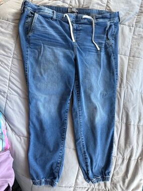 Torrid jogger jeans medium blue wash
